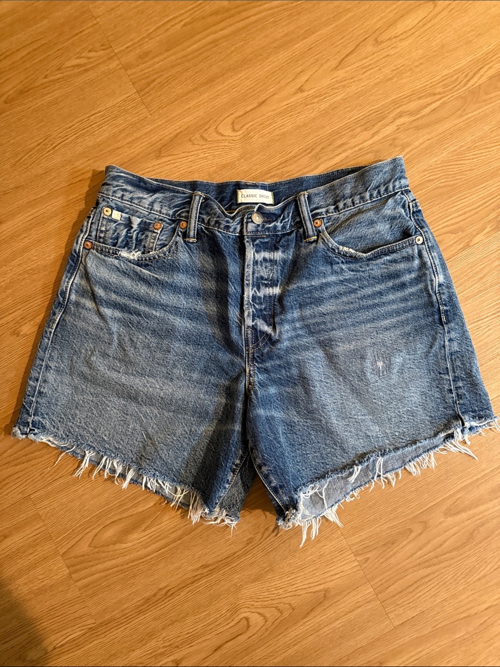 American Eagle Premium Jean Shorts